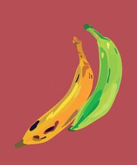 macho peruvian banana vector illustration © Mar Sifuentes