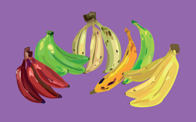 peruvian dragon fruit vector illustration © Mar Sifuentes