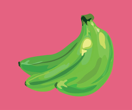 bellaco peruvian banana vector illustration