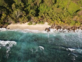 The beautiful beaches of the Seychelles alone with the wild nature