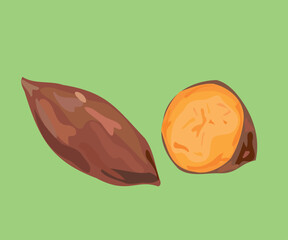 orange sweet potato vector illustration