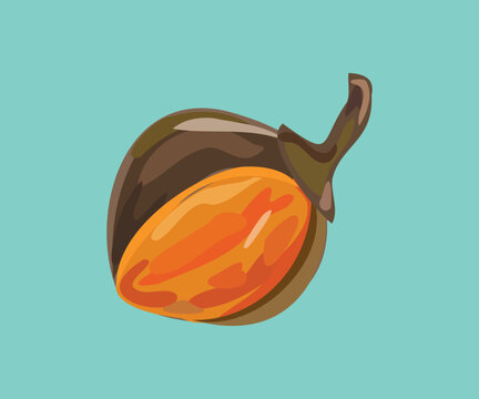 peruvian zapote vector illustration