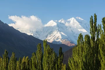 Foto auf Acrylglas Nanga Parbat Berggipfel Nanga Parbat mit Gletscher und grünem Kiefernwald von Fairy Meadow. Gilgit, Pakistan