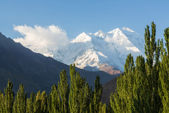 Nanga Parbat mountain peak with glacier and green pine forrest from Fairy Meadow. Gilgit, Pakistan
