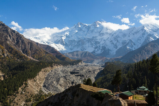 Nanga Parbat mountain peak with glacier and green pine forrest from Fairy Meadow. Gilgit, Pakistan