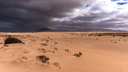 Fototapeta na wymiar Corralejo nature reserve dunes with volcanic scenery in distance against cloudy and stormy sky, Canary Islands