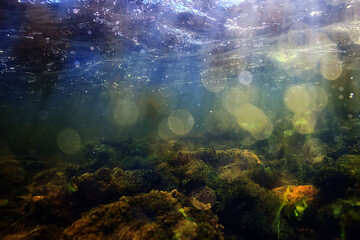 sun rays under water landscape, seascape fresh water river diving