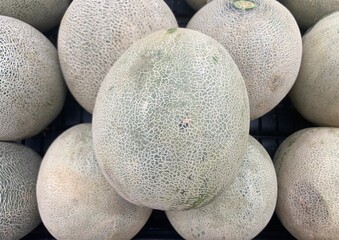 Fresh ripe honey juicy melon in market closeup