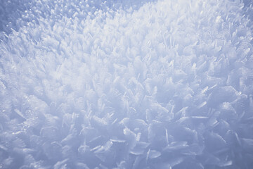 abstract winter background hoarfrost frost ice snow seasonal