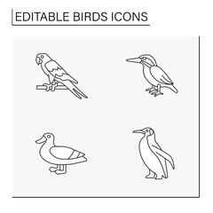 Birds line icons set. Different types of birds. Beautiful domestic and wild birds. Macaw, kingfisher, penguin, duck.Nature concept. Isolated vector illustrations. Editable stroke
