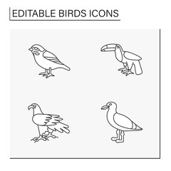 Birds line icons set. Different types of birds. Beautiful domestic and wild birds. Sparrow, toucan, eagle and seagull. Nature concept. Isolated vector illustrations. Editable stroke