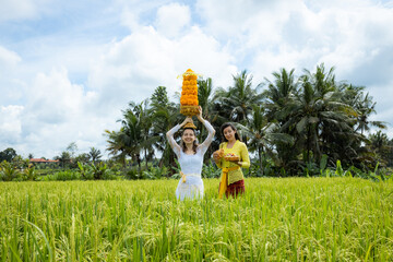 Caucasian women dressed in traditional Balinese costumes carrying offerings for Hindu religious...