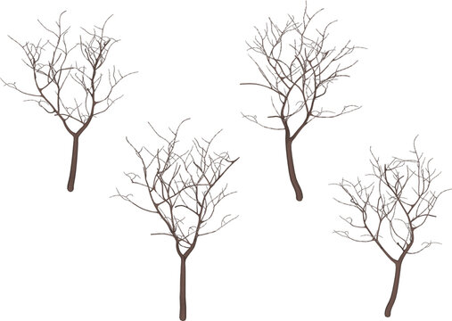 set of silhouettes of trees outline sketch vector design without leaves