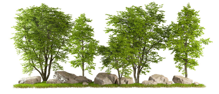 Greenery forest summer landscape cut out transparent background 3d rendering png file