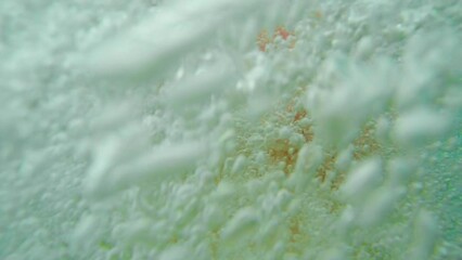 Adventure, ocean and man jump on cliff for adrenaline, fun and relax in water, lake and nature. Weekend, travel and pov of male jumping in sea enjoy freedom on tropical vacation, holiday and getaway