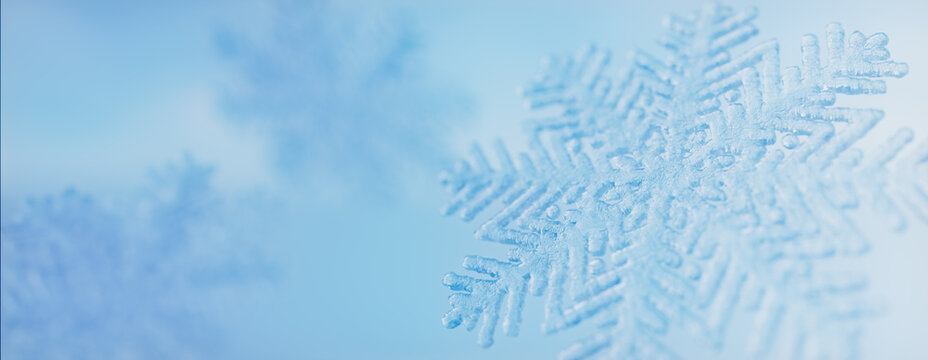 Snowflake Festive Wallpaper. Elegant, Frozen Seasonal Banner with copy-space.