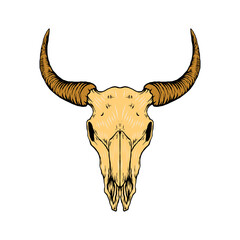 bull head skull vector illustration