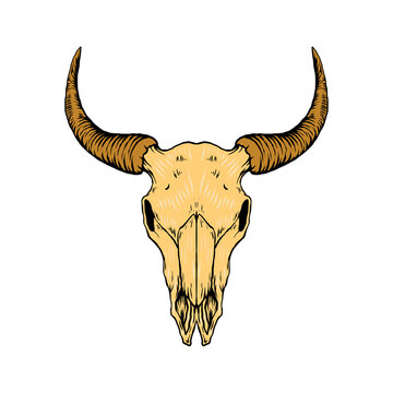 bull head skull vector illustration
