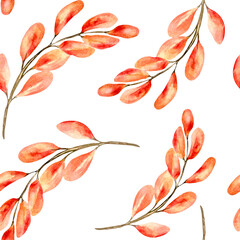 Colorful autumn branch watercolor seamless pattern on white.