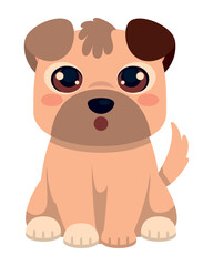 puppy cute animal