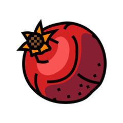 pomegranate fruit ripe color icon vector. pomegranate fruit ripe sign. isolated symbol illustration