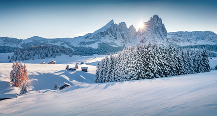 Untouched winter landscape of Alpe di Siusi ski resort. Frosty morning view of Dolomite Alps,...