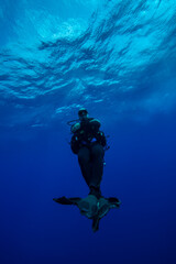Divers waiting at the safety stop. Underwater bubbles, water bubbles. Safety stop while diving. Red Sea, Egypt.