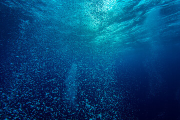  underwater bubbles, water bubbles. Safety stop on diving. Red Sea, Egypt. 
