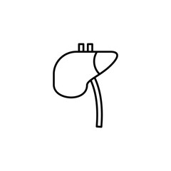 liver icon. outline icon