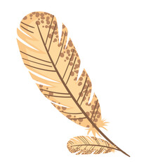 feathers ethnic tribal
