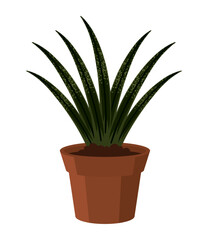 succulent houseplant icon