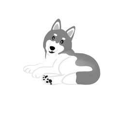 Siberian husky dog illustration