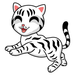 Obraz na płótnie Canvas Cute american short hair cat cartoon