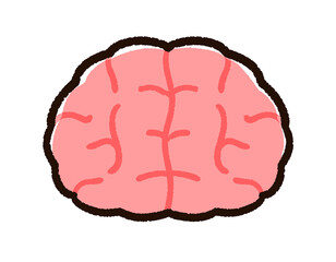 かわいい手描き風の脳みそ