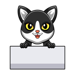 Cute black smoke cat cartoon holding blank sign