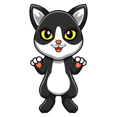 Cute black smoke cat cartoon