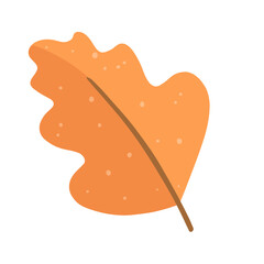 autumn leaf illustration
