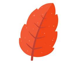 red autumn leaf