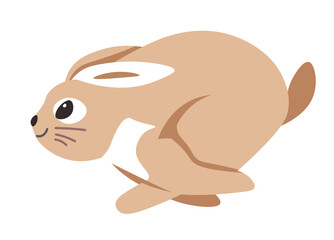 Rabbit running fast, hare animal in motion vector