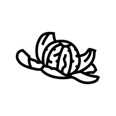 peeled clementine line icon vector. peeled clementine sign. isolated contour symbol black illustration