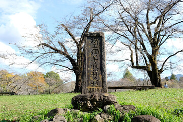 秩父・芝桜の丘のある「羊山公園」　「埼玉綿羊発祥の地」の石碑