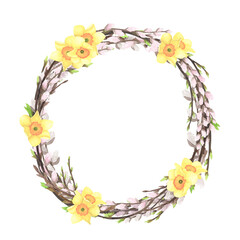 Spring pussy willow twigs wreath watercolor with daffodil isolated on white. Hand drawing Easter illustration for design