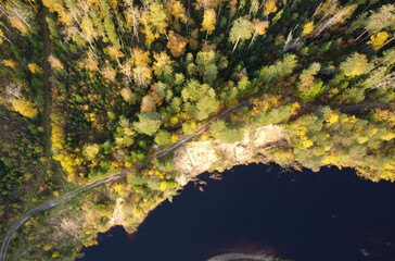 green moss on the wall