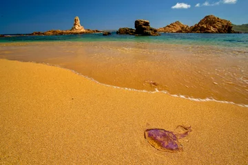 Photo sur Plexiglas Cala Pregonda, île de Minorque, Espagne Cala Pregonda. Minorque. Réserve de biosphère. Îles Baléares. Espagne.