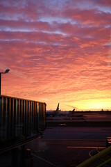 夜明け前の朝日を浴びてるシカゴ空港