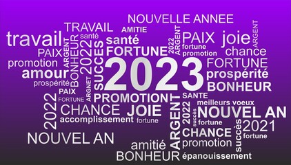 nuage de mots écrit en français bonne année 2023