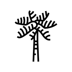 royal palm tree line icon vector. royal palm tree sign. isolated contour symbol black illustration