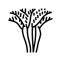 areca palm tree line icon vector. areca palm tree sign. isolated contour symbol black illustration