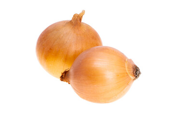onion isolated