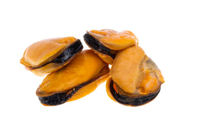 mussels isolated